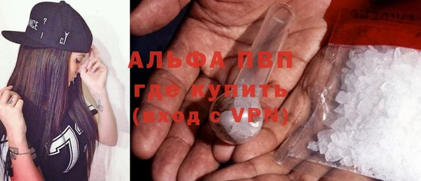 PSILOCYBIN Аркадак