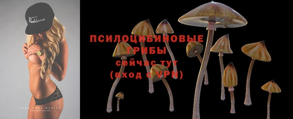 PSILOCYBIN Аркадак