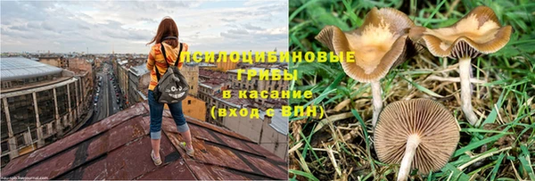меф Арсеньев