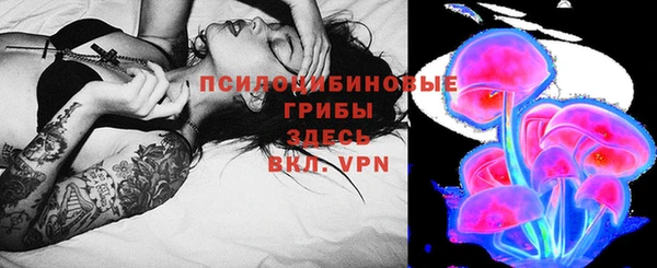 PSILOCYBIN Аркадак