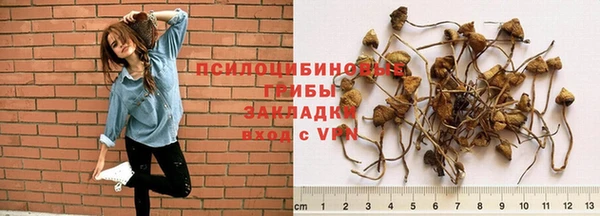 а пвп мука Алзамай