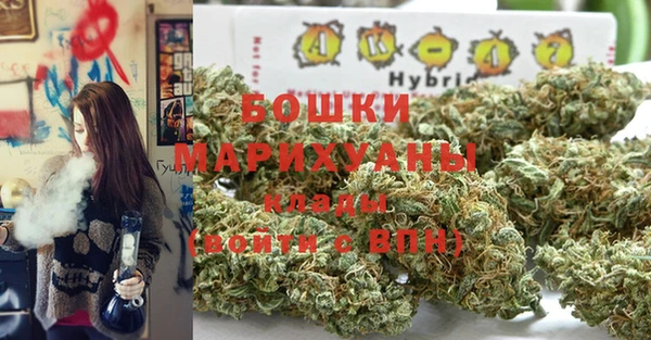 меф Арсеньев